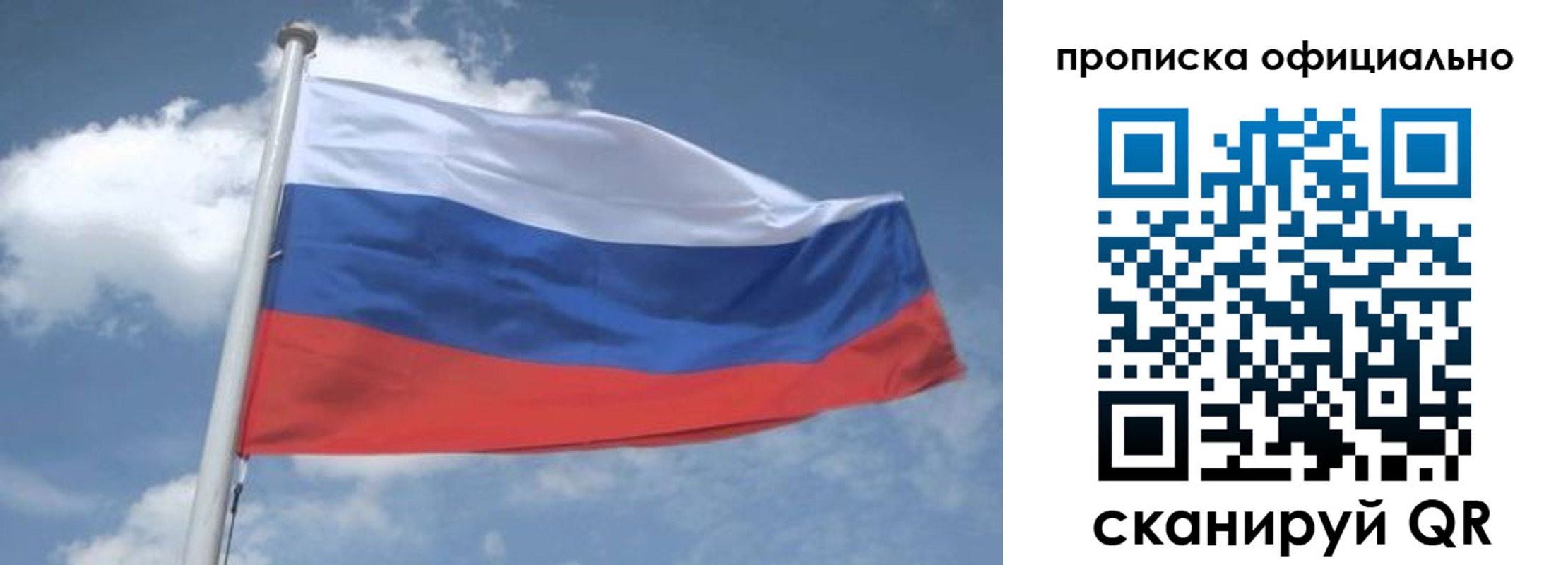 прописка для школы в Ясном